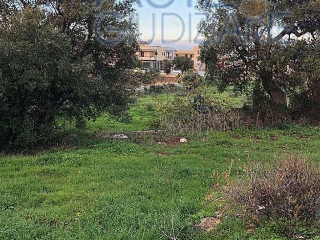 Terreno a Polignano a mare - Foto 2
