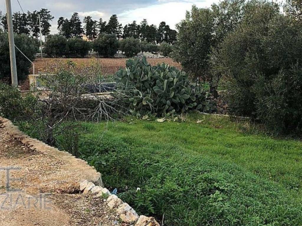 Terreno a Polignano a mare - Foto 3