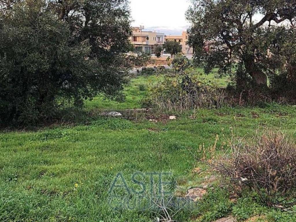 Terreno a Polignano a mare - Foto 4