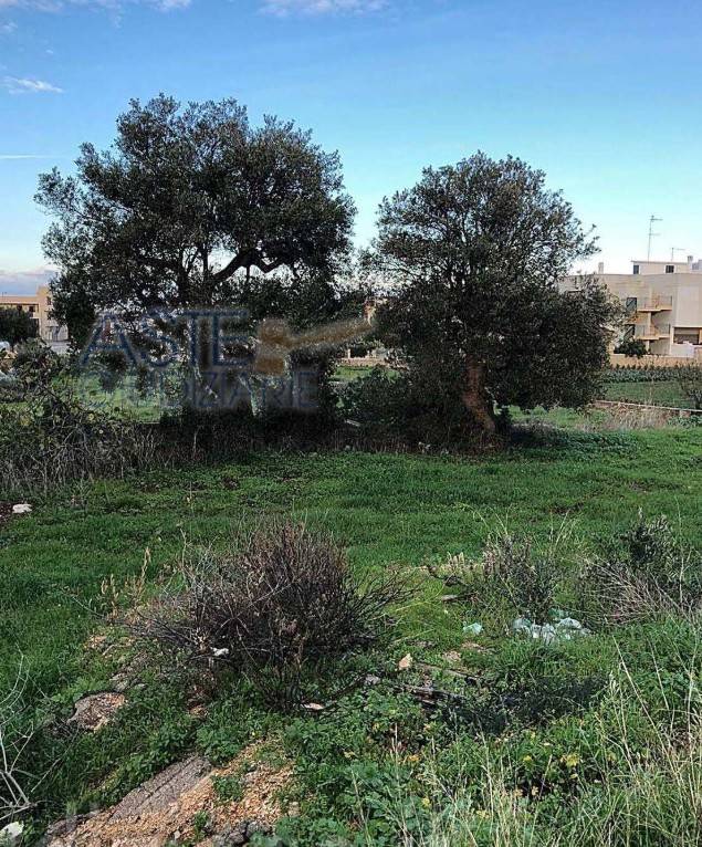 Terreno a Polignano a mare - Foto 5