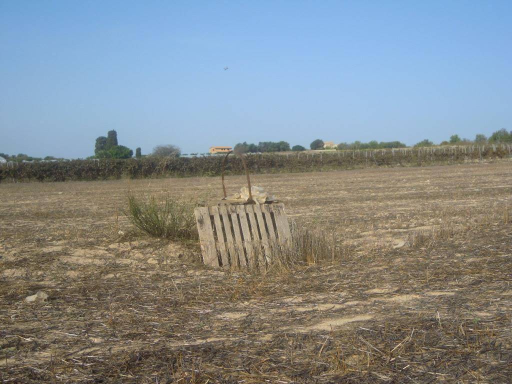 Terreno a Noto - Foto 4
