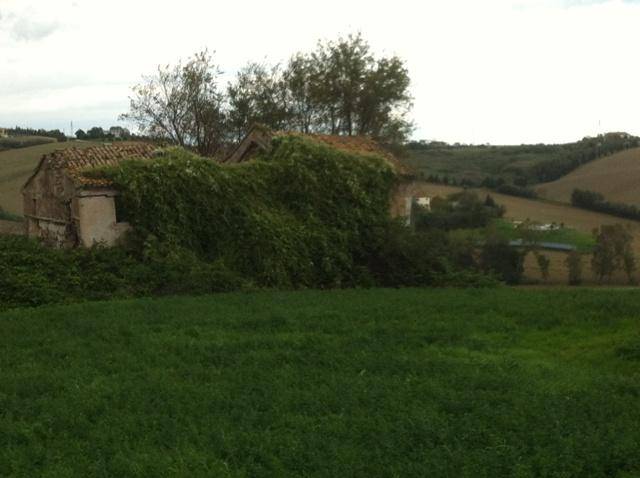 Rustico / casale a Senigallia - Foto 2