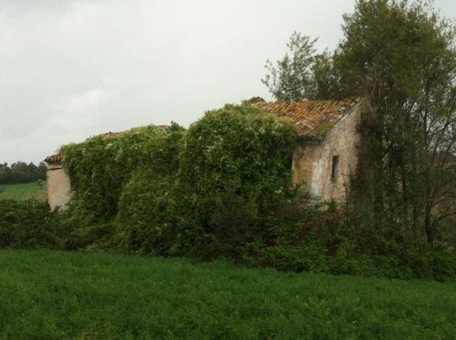 Rustico / casale a Senigallia - Foto 3