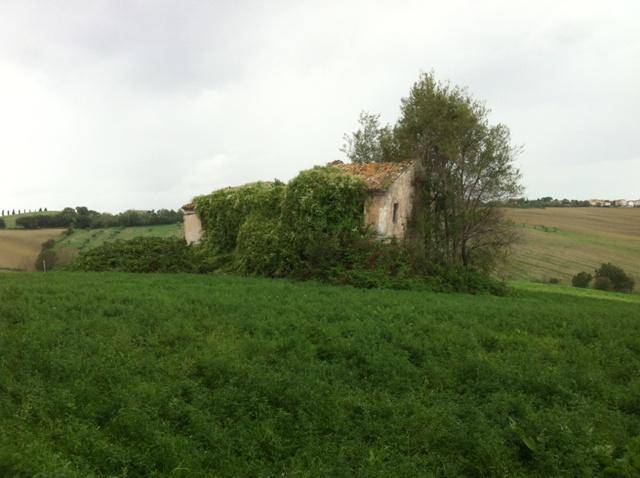 Rustico / casale a Senigallia - Foto 4