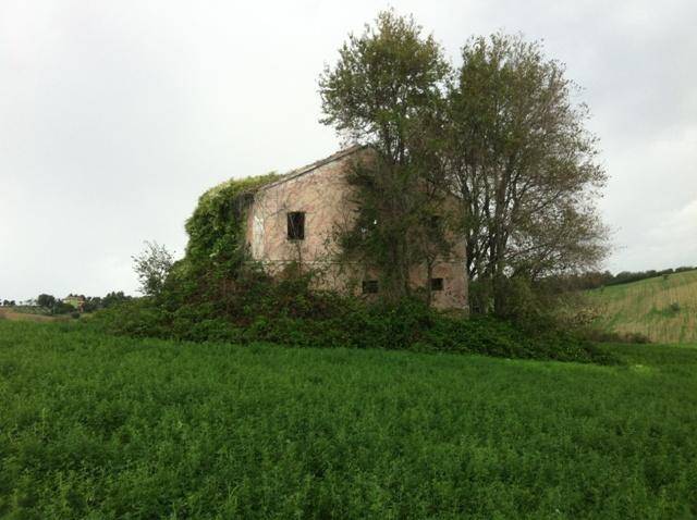 Rustico / casale a Senigallia - Foto 5