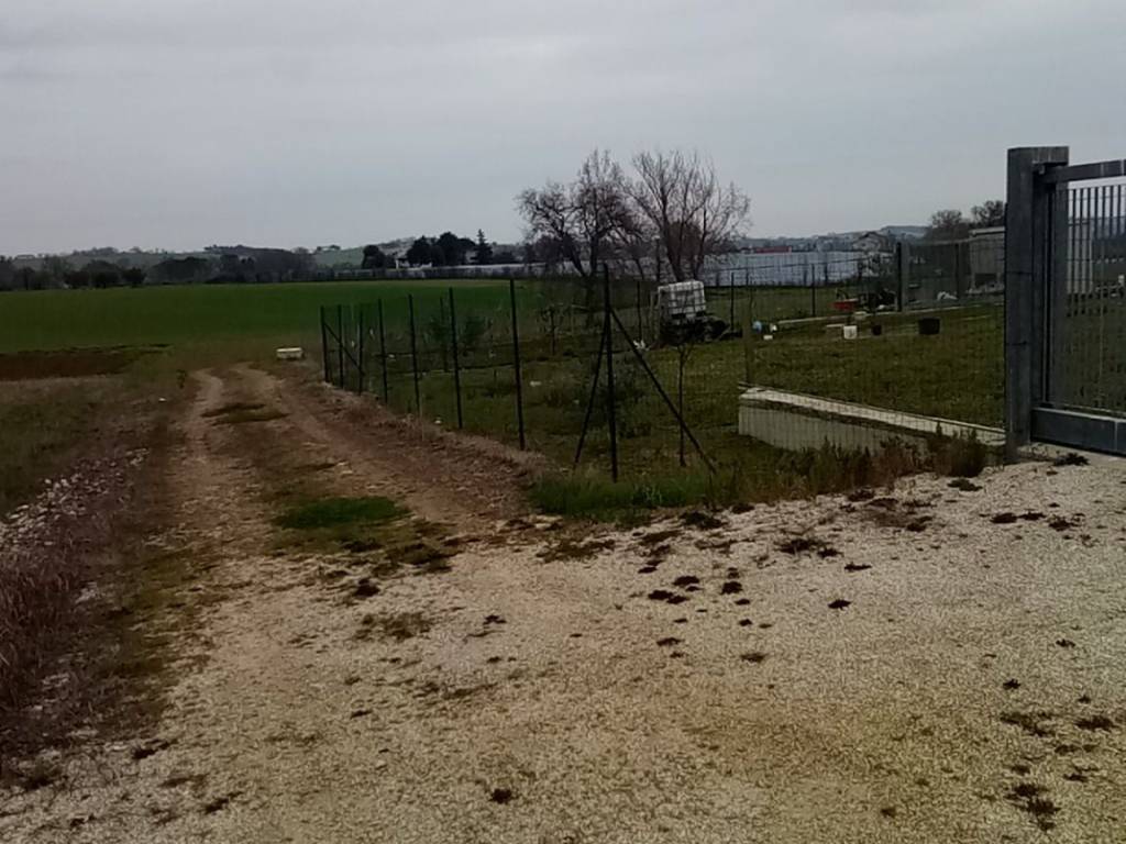 Terreno a Treia in Contrada Schito, 100 - Foto 3