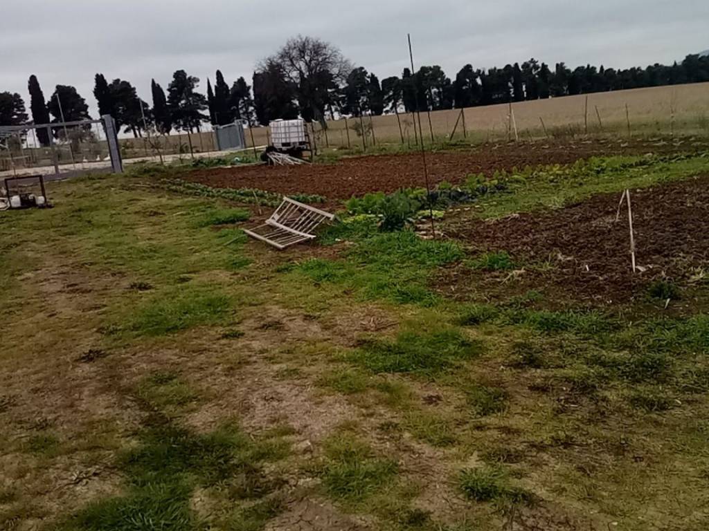 Terreno a Treia in Contrada Schito, 100 - Foto 4