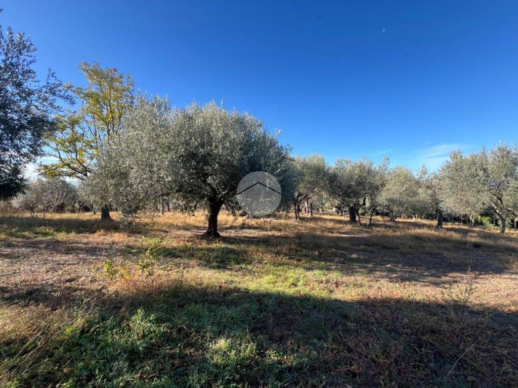 Terreno a Tivoli in Strada di Pomata, 24 - Foto 3