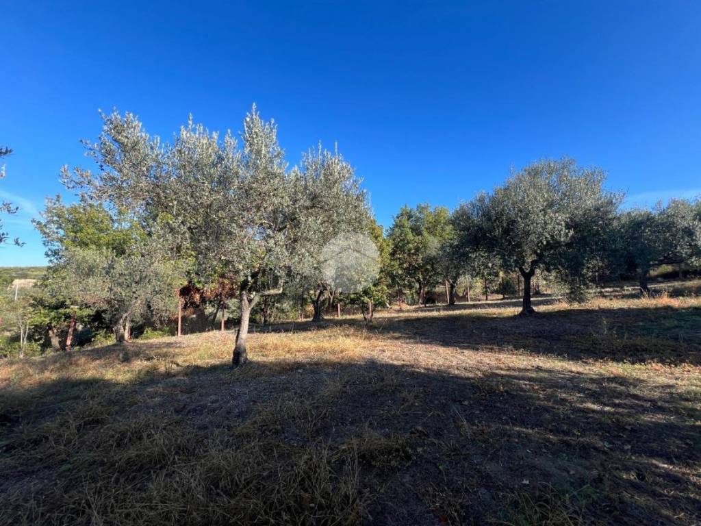 Terreno a Tivoli in Strada di Pomata, 24 - Foto 5