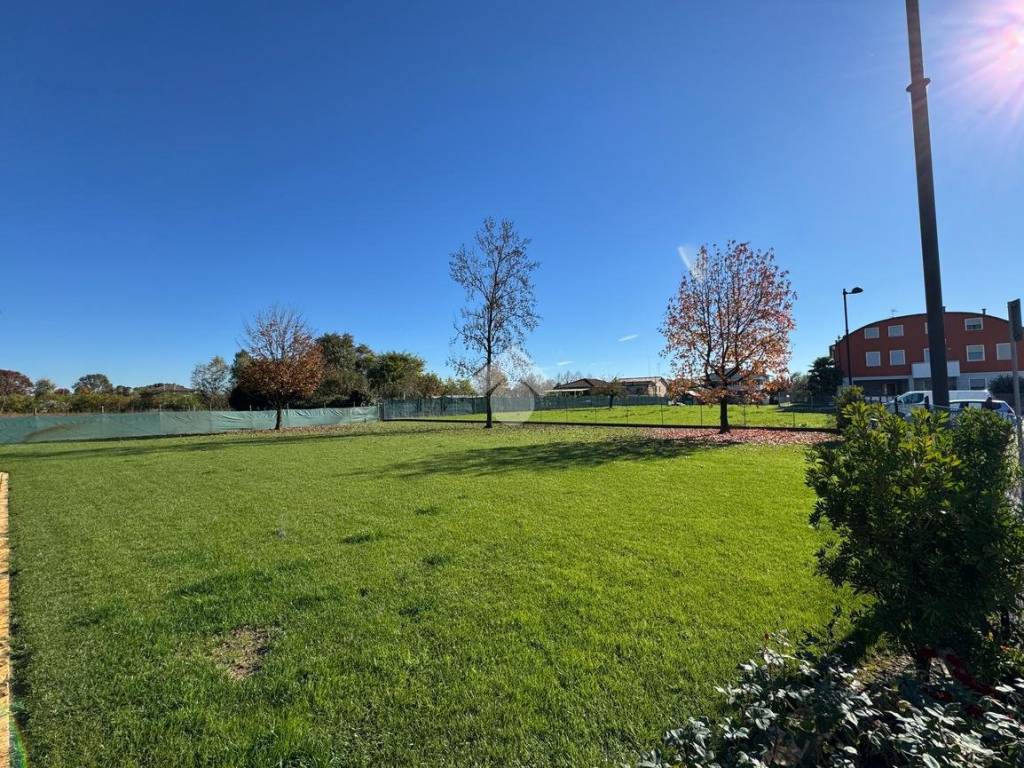 Terreno a Curtarolo - Foto 2