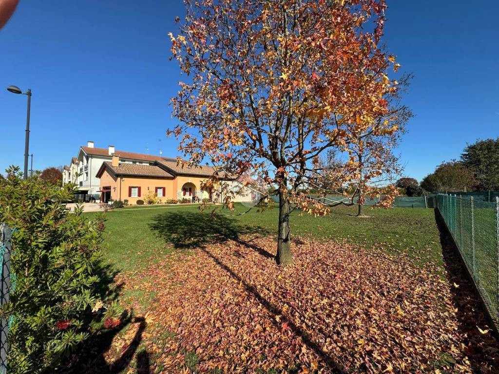 Terreno a Curtarolo - Foto 5