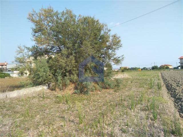 Terreno a Paglieta - Foto 5