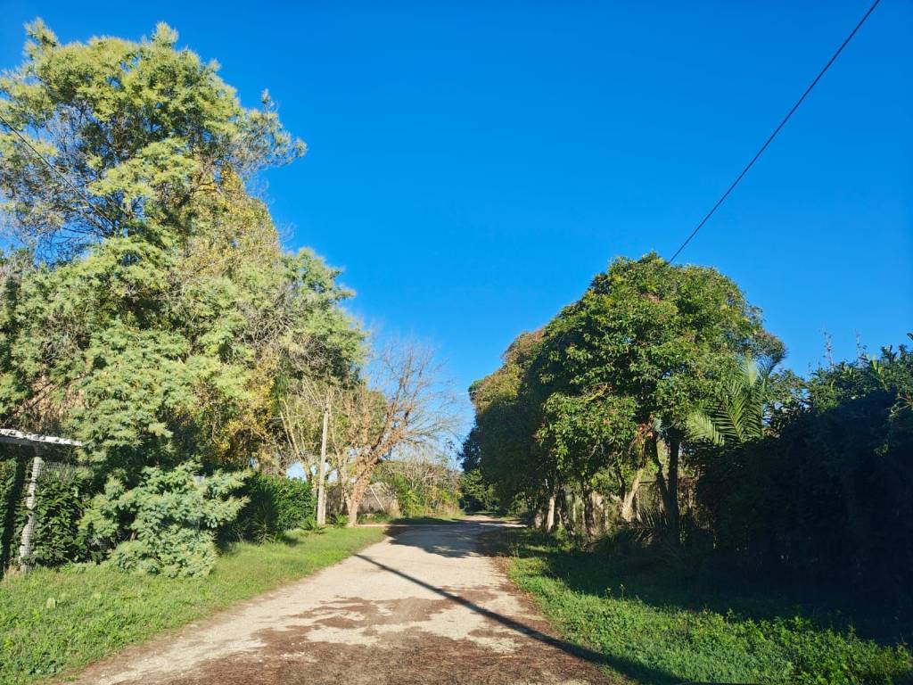 Terreno a Tarquinia in Strada Poggio della Birba - Foto 3