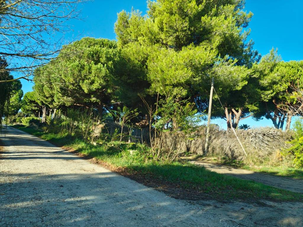 Terreno a Tarquinia in Strada Poggio della Birba - Foto 5