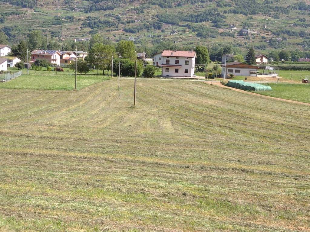 Rustico / casale a Castello dell'acqua in Via del Piano - Foto 4