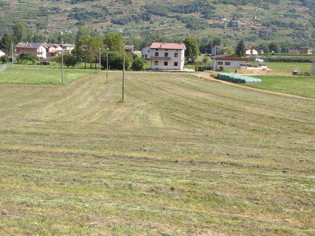 Rustico / casale a Castello dell'acqua in Via del Piano - Foto 5