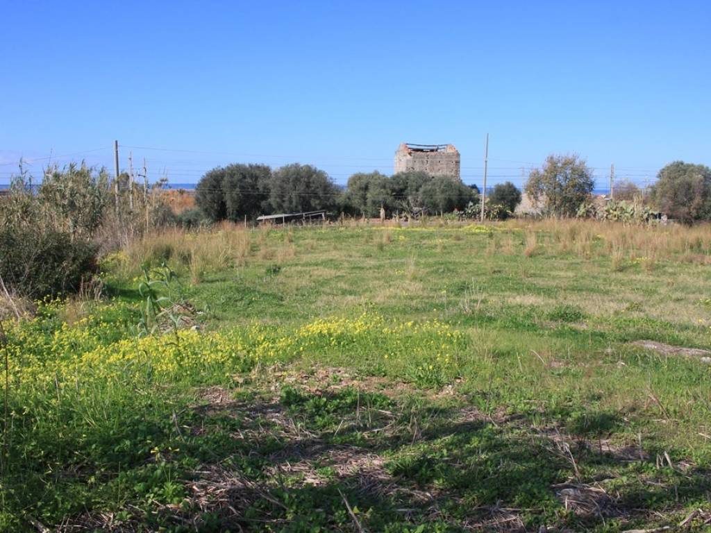 Terreno a Grisolia in Via Palazza, 6 - Foto 2