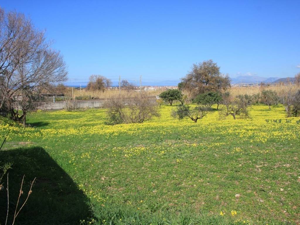 Terreno a Grisolia in Via Palazza, 6 - Foto 3