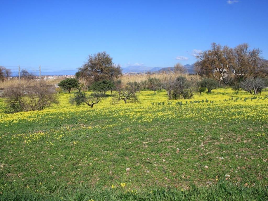 Terreno a Grisolia in Via Palazza, 6 - Foto 4
