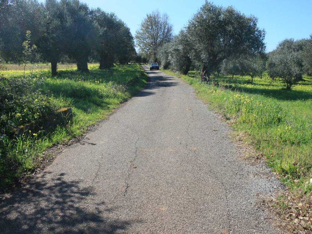 Terreno a Santa maria del cedro in Via Foresta - Foto 3