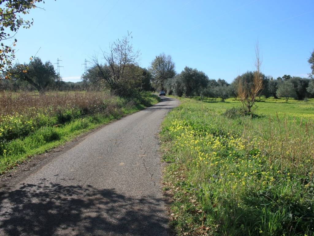 Terreno a Santa maria del cedro in Via Foresta - Foto 4