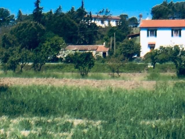 Rustico / casale a Riparbella - Foto 2