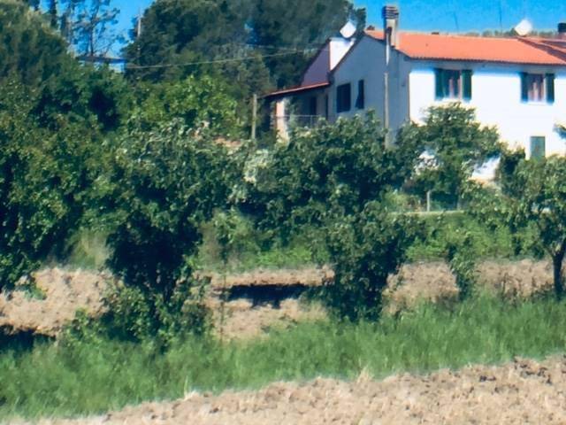 Rustico / casale a Riparbella - Foto 3