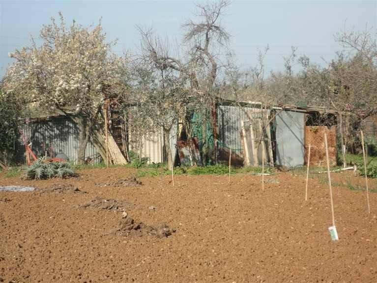 Terreno a Cecina - Foto 2