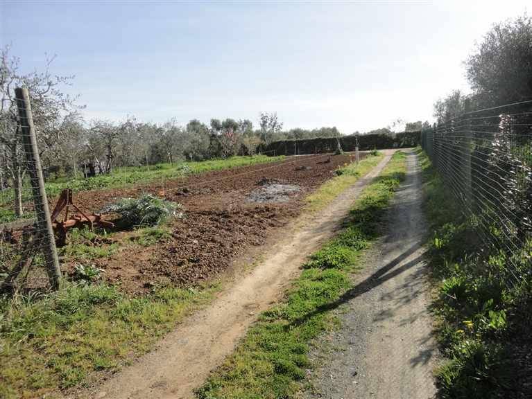 Terreno a Cecina - Foto 3