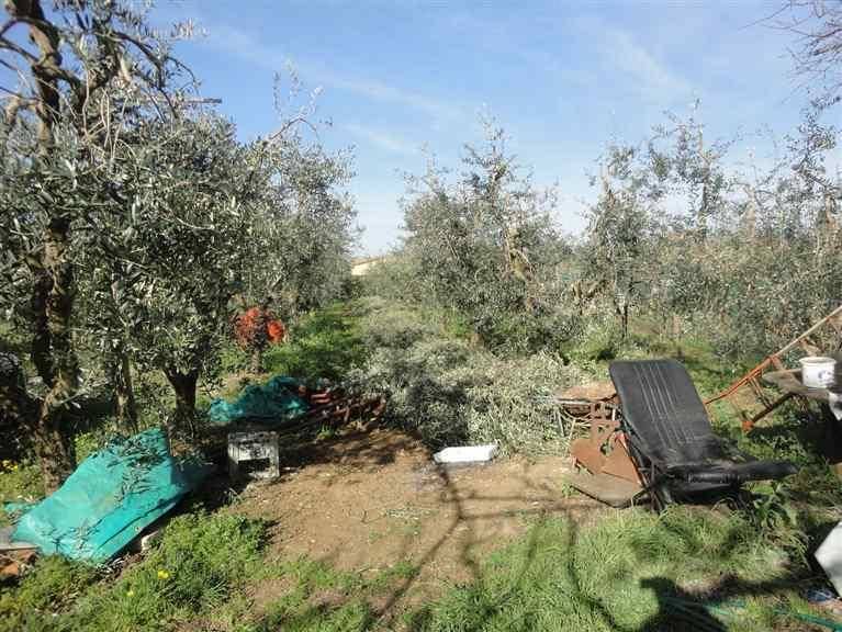 Terreno a Cecina - Foto 4
