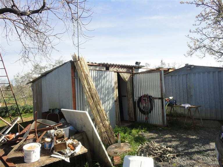 Terreno a Cecina - Foto 5