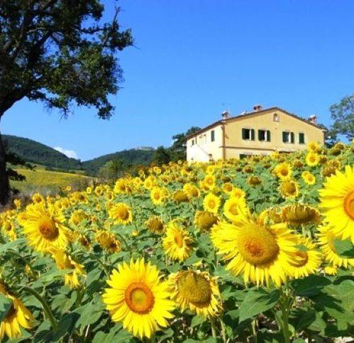 Rustico / casale a Acqualagna in Strada Fangacci - Foto 2