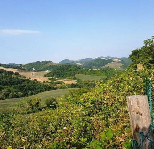 Rustico / casale a Urbania in Località Battaglia - Foto 3