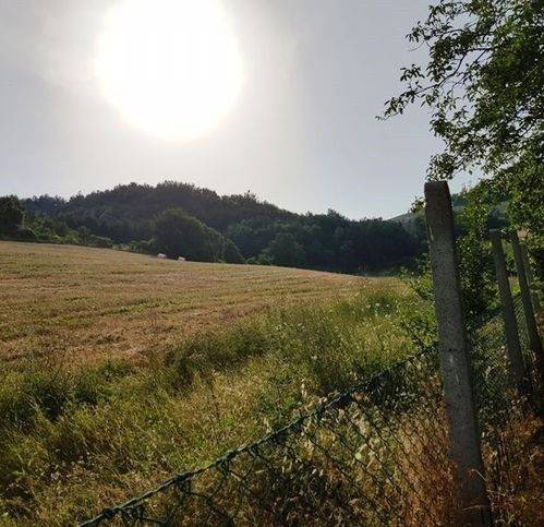 Rustico / casale a Urbania in Località Battaglia - Foto 5