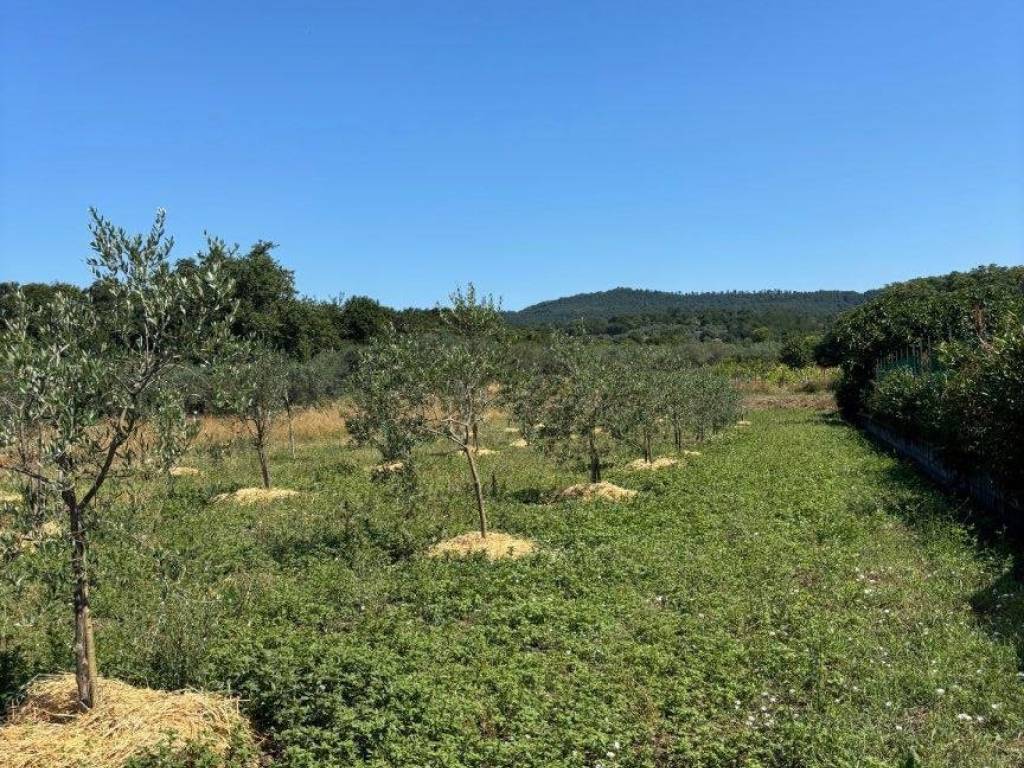 Terreno a Bolsena in Via Cassia - Foto 2
