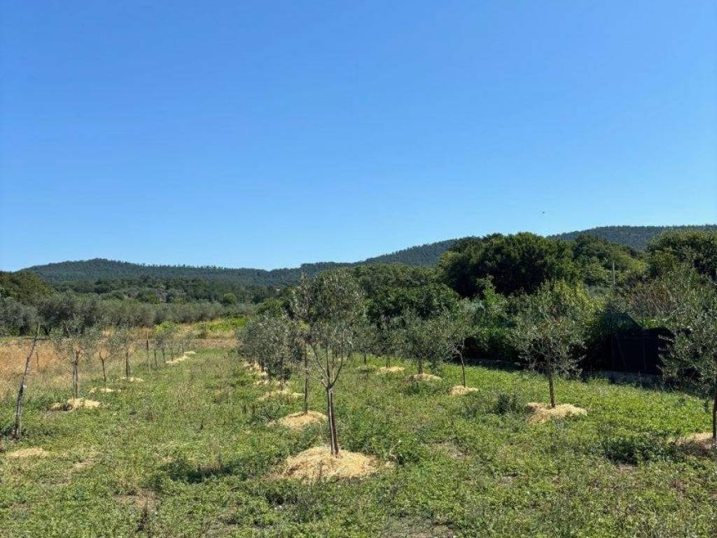 Terreno a Bolsena in Via Cassia - Foto 4