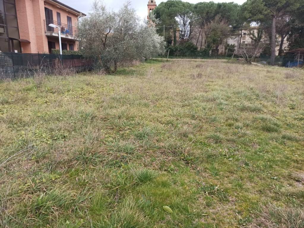 Terreno a Castiglione del lago - Foto 2