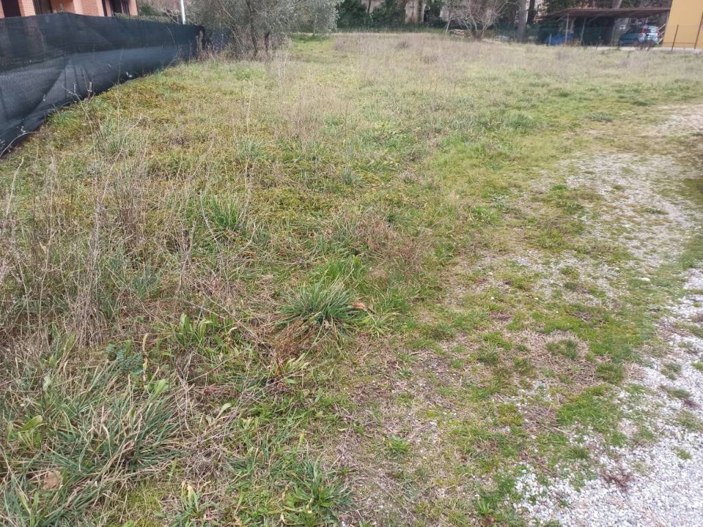 Terreno a Castiglione del lago - Foto 5