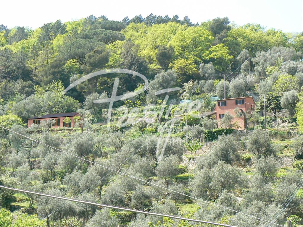 Villa a Portovenere in Via Camillo Benso di Cavour - Foto 5