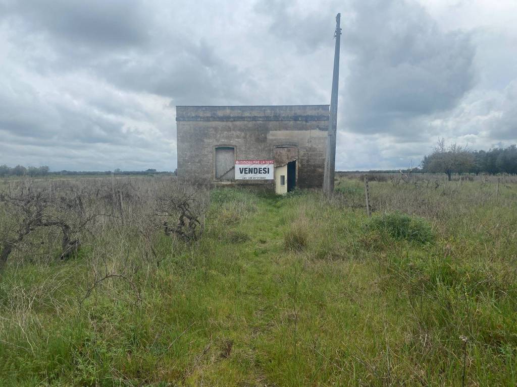 Villa a Mesagne in Contrada Tenente Pizzorusso - Foto 5