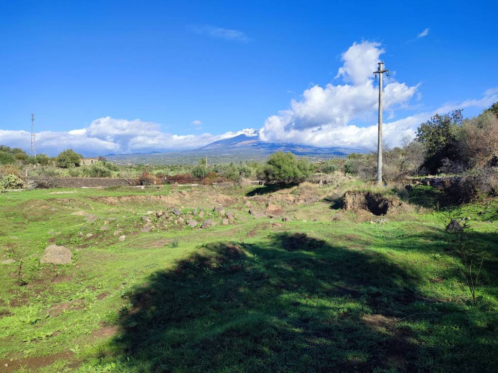 Terreno a Paternò - Foto 3