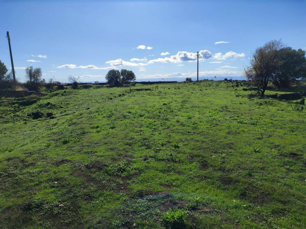 Terreno a Paternò - Foto 5