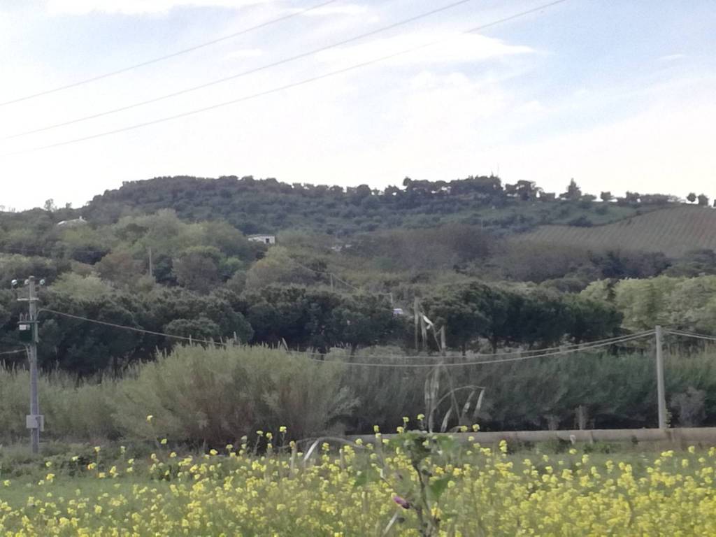 Rustico / casale a Martinsicuro - Foto 4