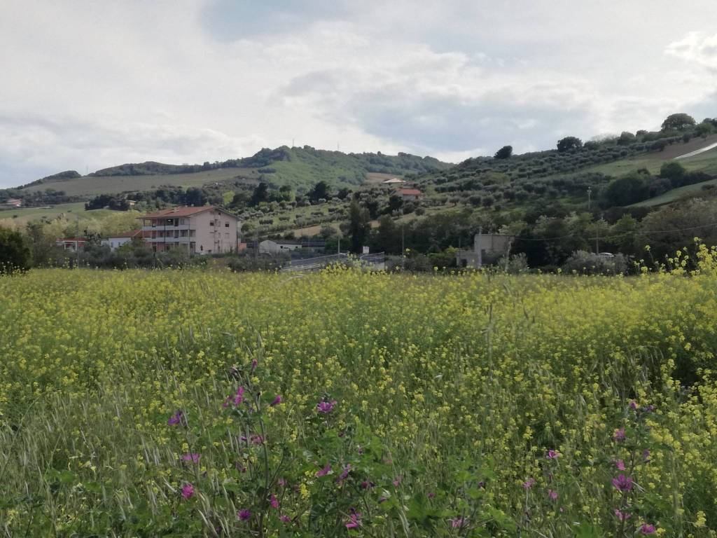 Rustico / casale a Martinsicuro - Foto 5