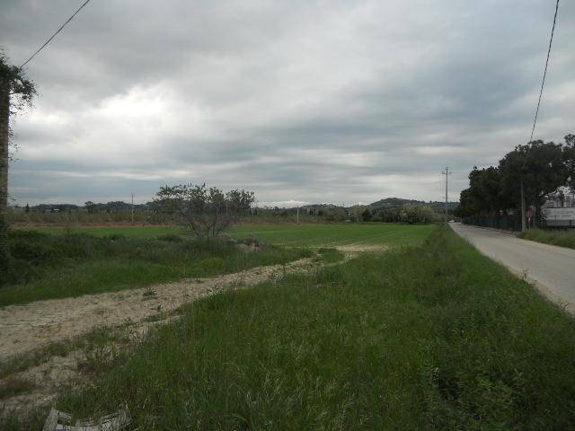 Rustico / casale a Controguerra in Strada Provinciale 1 - Foto 3