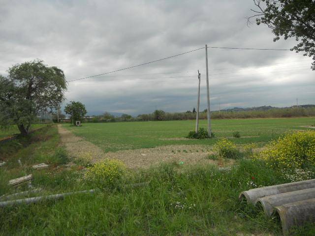 Rustico / casale a Controguerra in Strada Provinciale 1 - Foto 4