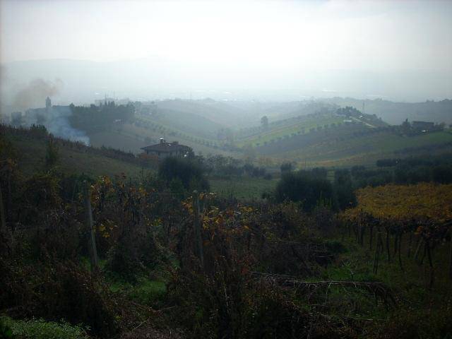 Rustico / casale a Monteprandone in Via Borgo da monte - Foto 5
