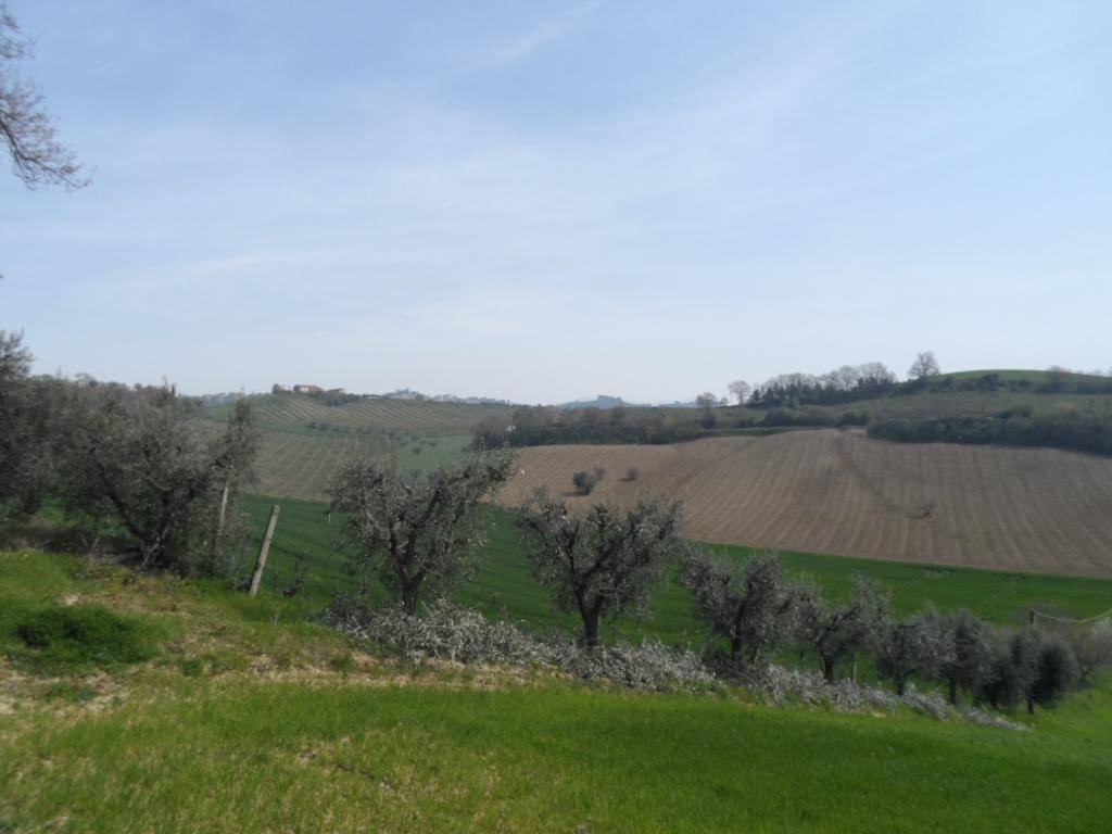 Terreno a Acquaviva picena in Contrada Forola - Foto 2