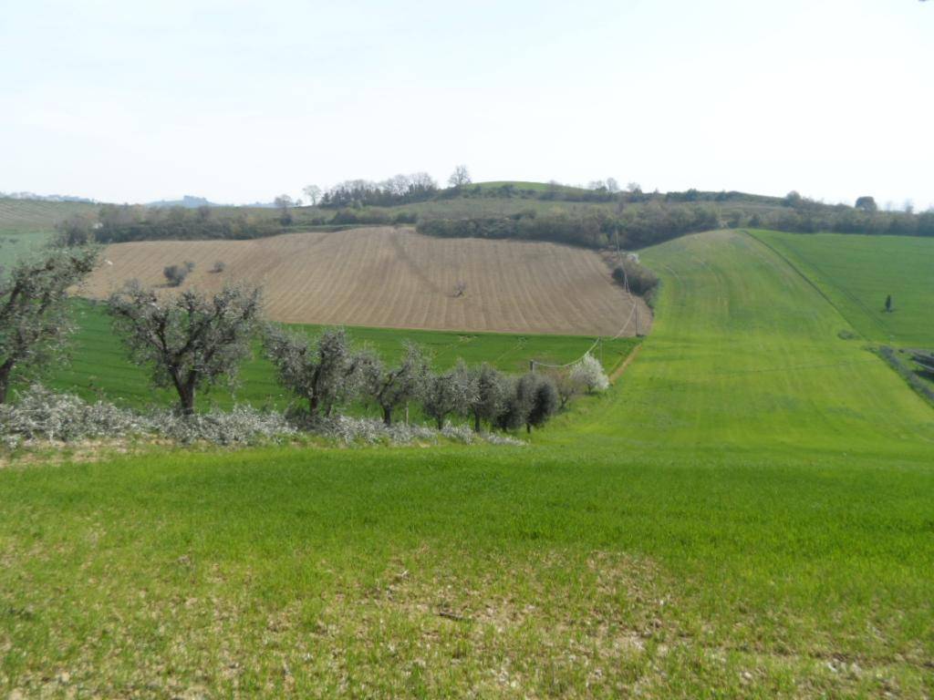 Terreno a Acquaviva picena in Contrada Forola - Foto 4