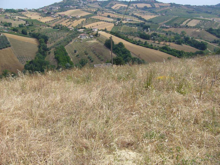 Rustico / casale a Controguerra in Contrada Pignotto - Foto 3